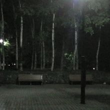 誰もいない公園に一人たたずむ。
