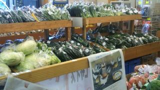 素朴な雰囲気の道の駅