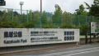 スポーツ施設や植物園がある充実の公園