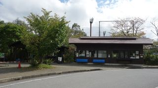 高原や野の花も楽しめました