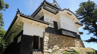 雲海に浮かぶ現存12天守