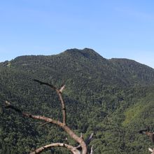 途中の展望台から四阿山をのぞむ