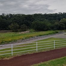 裏ではキャンプもできるのかな