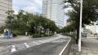 まだまだ木は小さめ。