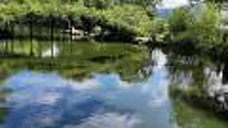 整った感じの庭園