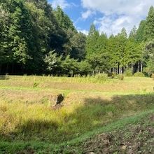 小倉山城跡のふもとに整備されたショウブ園