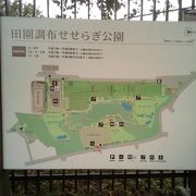 樹木の中を散策できる静かな公園