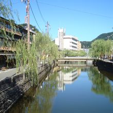 大谷川沿いの柳の枝垂れ