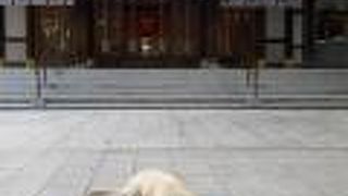 きれいになった