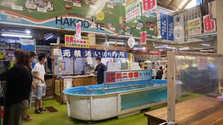 イカ釣りが楽しめます