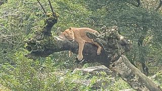 渋滞疲れか、疲れを吹き飛ばす楽しさか