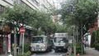 遅咲きの八重桜が並ぶ通り