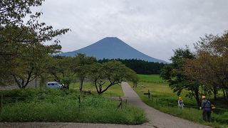 見えるとテンション上がる日本一の山