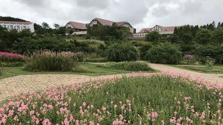 季節ごとに花が楽しめる