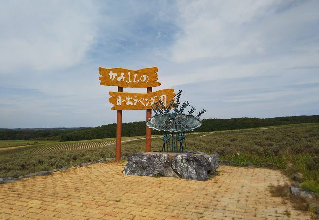 日の出公園ラベンダー園 クチコミ アクセス 営業時間 富良野 フォートラベル