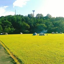 綺麗に刈り込まれた広い草地があり、キャンプが楽しめます