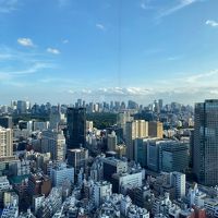 高層階の眺めは見てて楽しい