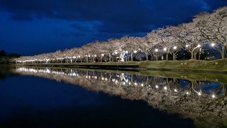 鷹巣中央公園