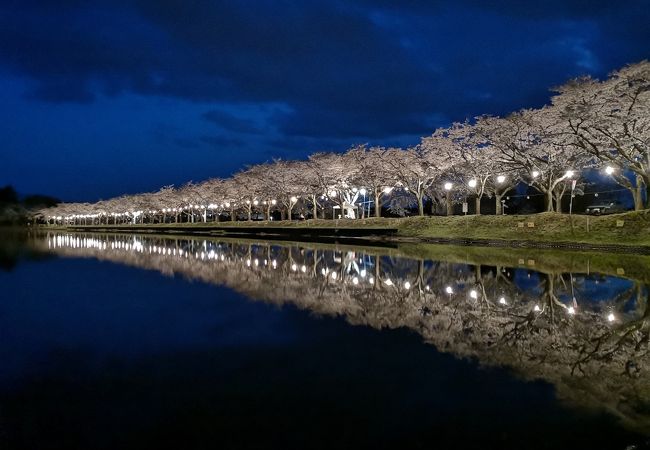 鷹巣中央公園