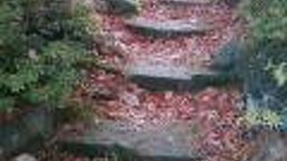 伊香保でハワイ