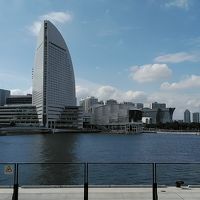 ハンマーヘッドから