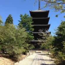 青空に生える五重塔