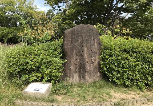 万葉集ゆかりの植物