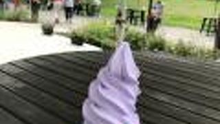 久々の、ラベンダーソフト