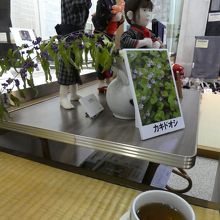 休憩コーナーのお茶。