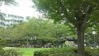 子供たちの声が