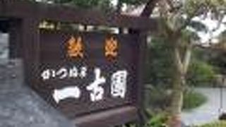 観光バスツアーで賑わう