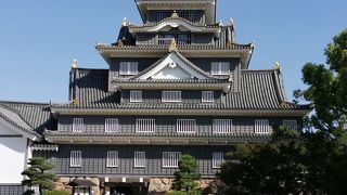 黒いお城(鳥城)