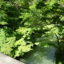 周りの木々が美しい