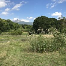 七飯町から見た駒ヶ岳