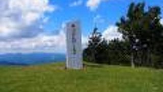 頂上の景観と巨木が素晴らしい。