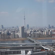 天気がいいとスカイツリーが見えます