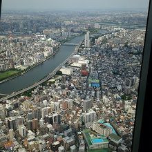 隅田川方面の景色です