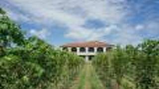 Winerystay TRAVIGNE