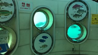 800円の価値無し