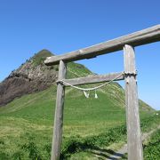 オススメは初夏のお花