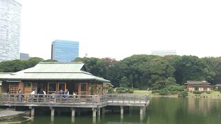 広い庭園を散策するだけでも楽しい