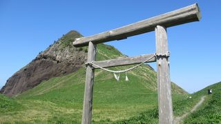 オススメは初夏のお花