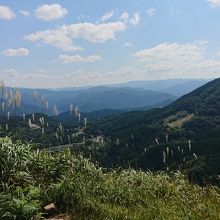 山の稜線はかなりキツイ傾斜の岩道