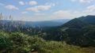 絶対に履き慣れた運動靴で行け！