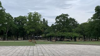 鹿公園