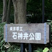 石神井公園