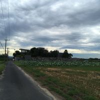 田んぼの中にポツンと