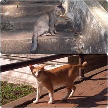 嫌われちゃったかも…　(w＿－； ｳｩ･･