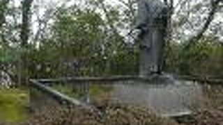 文化施設も集まる