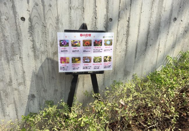 水戸市植物公園 クチコミ アクセス 営業時間 水戸 フォートラベル 水戸市植物公園 クチコミ アクセス 営業時間 水戸 フォートラベル